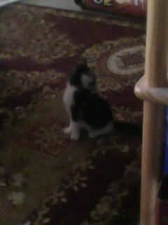 Er ist ein wenig Kamerascheu. Aber sehr Fotogen, oder? hihi.