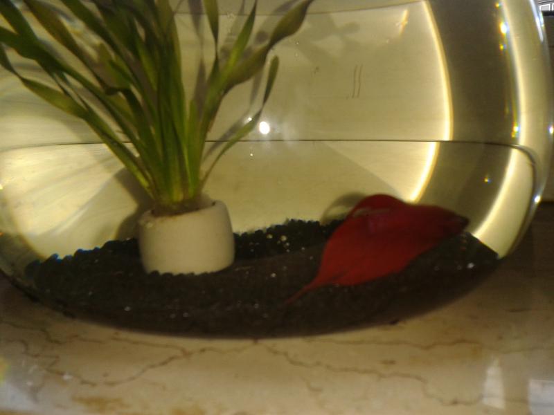 Er muss heile bleiben :)