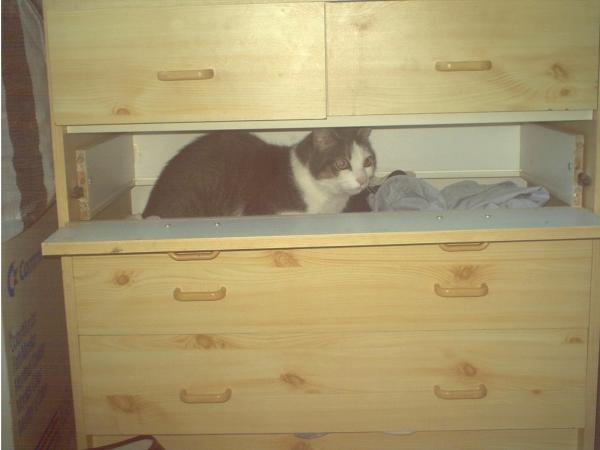 Erni in Schrank jetzt die liebe in Regenbogenland