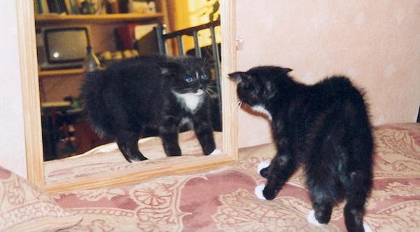 erste Begegnung mit dem Spiegel