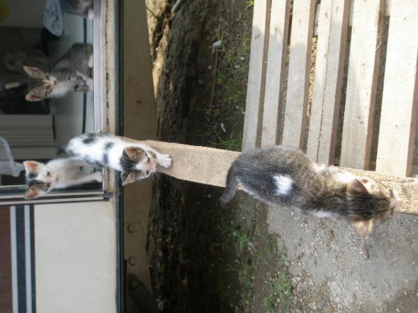 Erste Schritte nach draußen