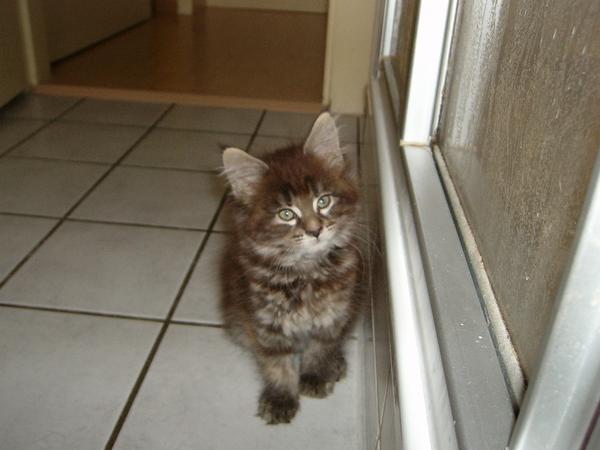 Erstes Foto vor dem Kauf!