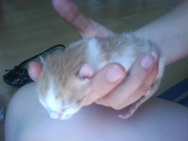 Erstes geborenes Baby =)