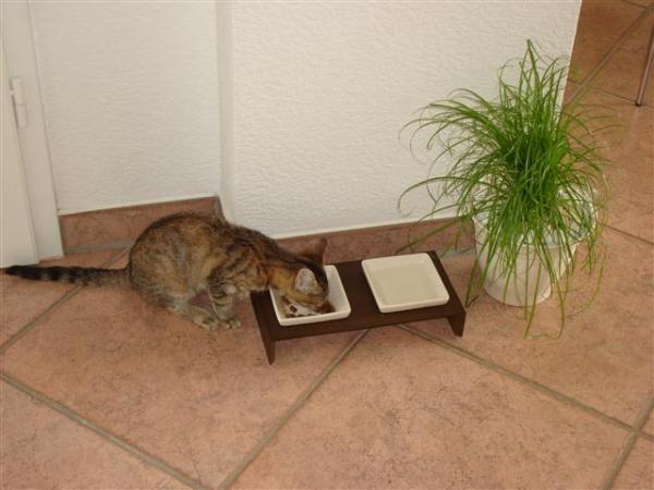 Erstmal richtig zuschlagen. :)