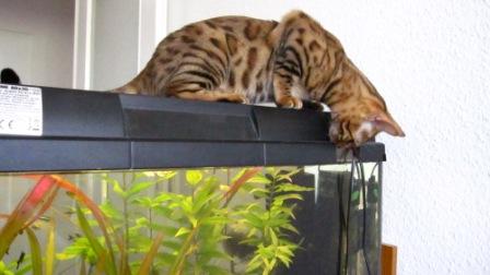 Escarda prüft die Abdichtung