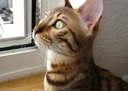 Escarda schaut so süß