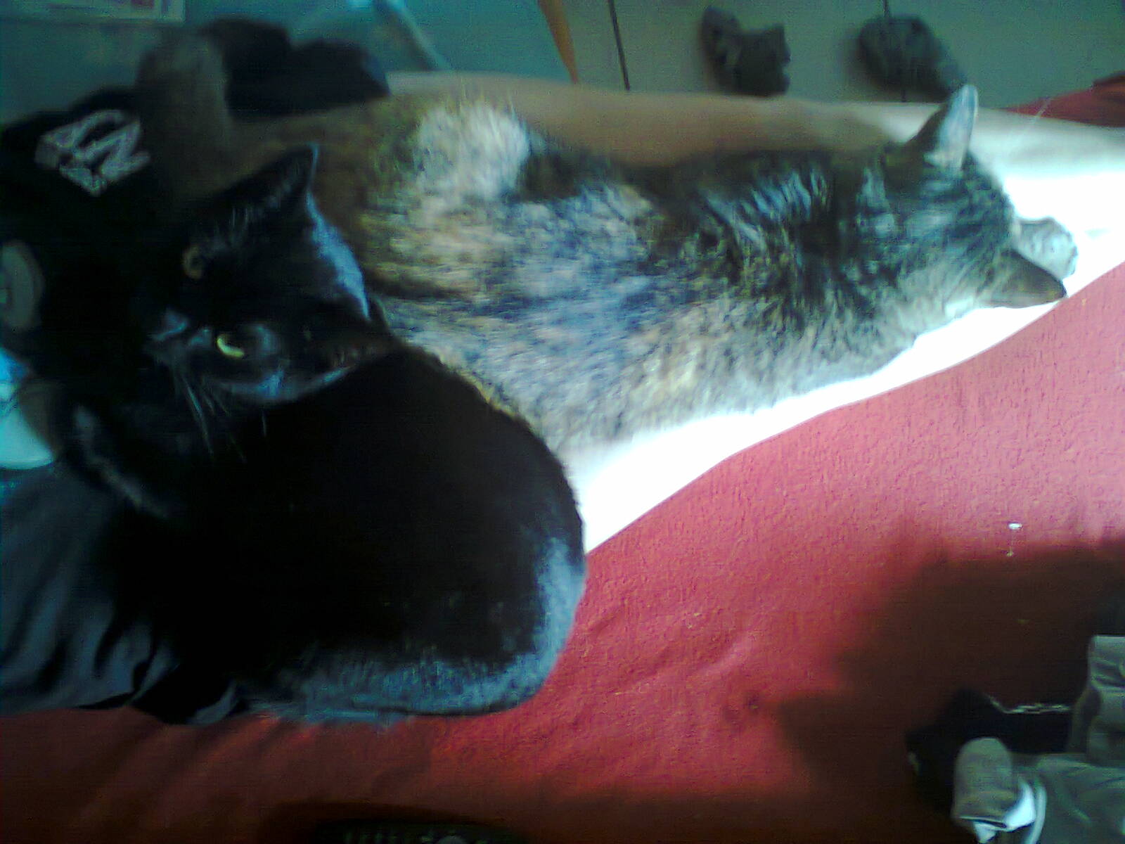 Felilou &amp; Jamila