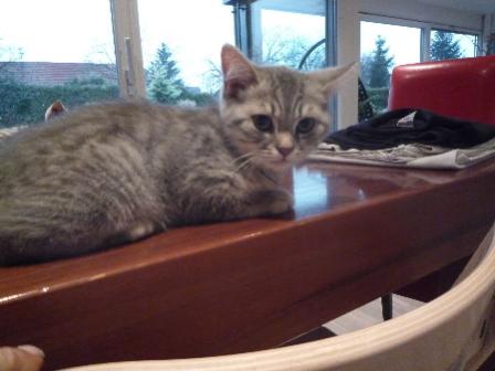 Felix der zweit jüngste