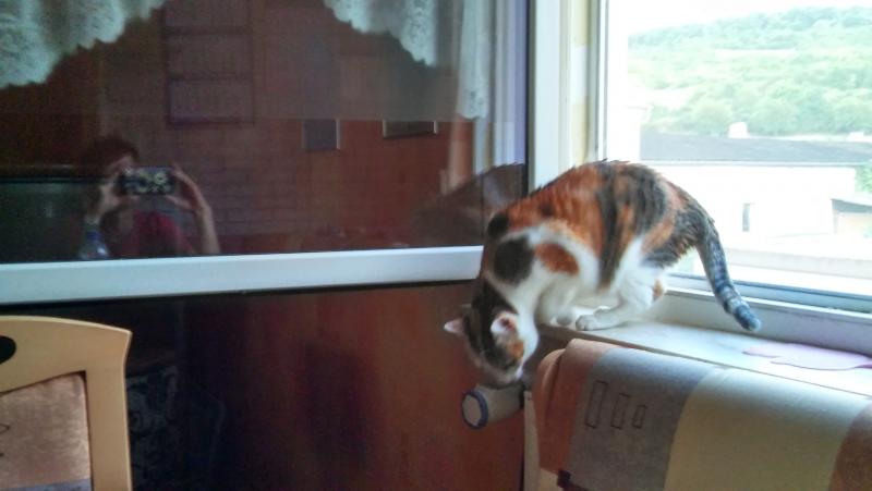 Fertig mit Fenster Schauen.