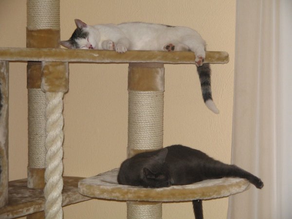 Fibi und Pauli(nchen)