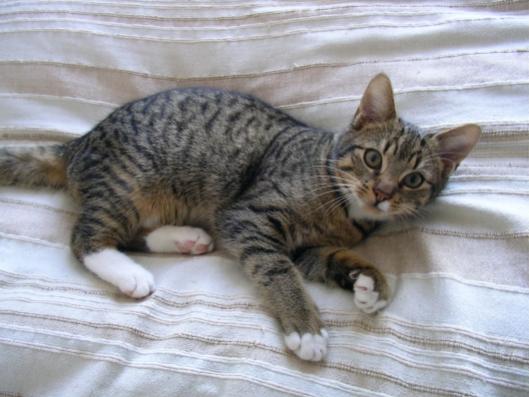 Finn im zarten Alter von 3 Monaten