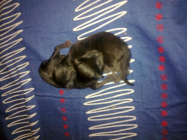 fk5cy4gmr10qw3cnxz75bj7hm4f