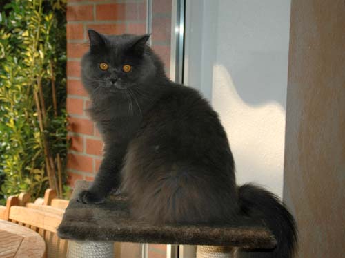 Floyd mit einem "Schmachtblick".