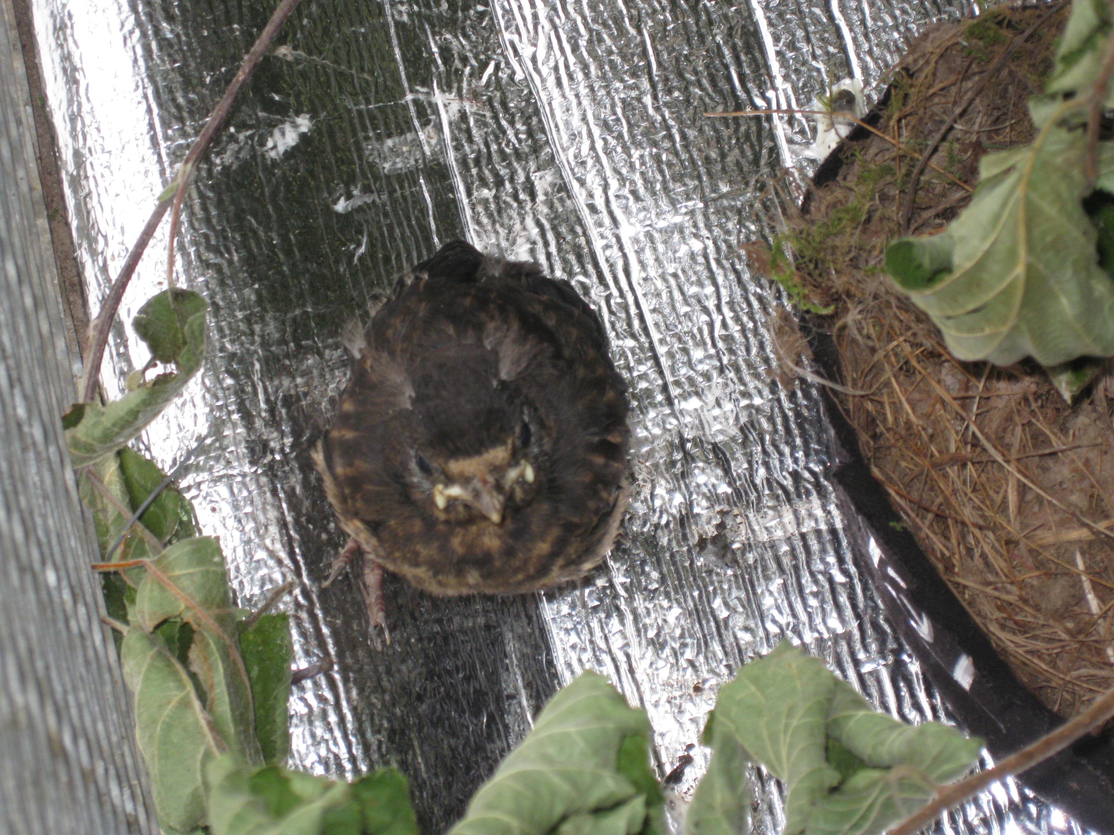 Folie damit sie nicht auf den kalten Steinen ist