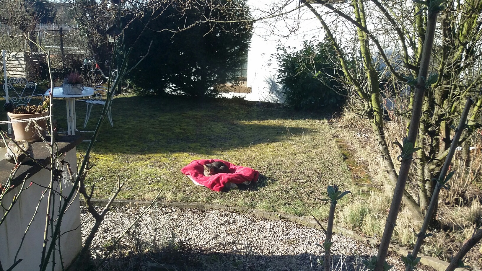 Frauchen hat mir ein Nest gebaut....neee, bin nicht der Osterhase :)