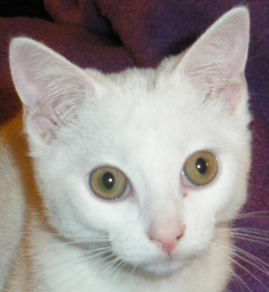 frecher Kerl...
aber wenn er einen so anschaut....