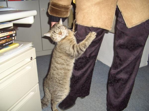 Fredi begrüßt jeden freundlich im Büro