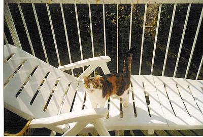 Freigänger bin ich nicht, aber ein Balkon ist auch was schönes. Man kann so gut Tauben beobachten ;-)