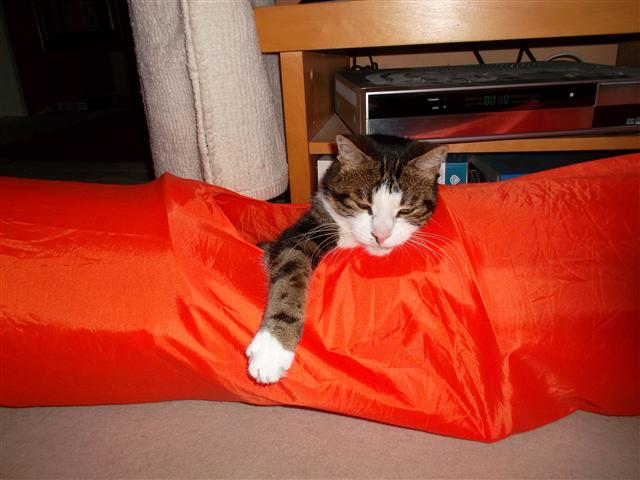 Friedrich in seinem tunnel