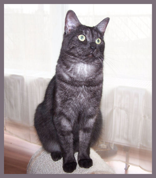 Frisch gebürstet, in voller Pracht...