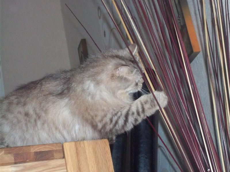 Für Unterhaltung sorgt er immer.