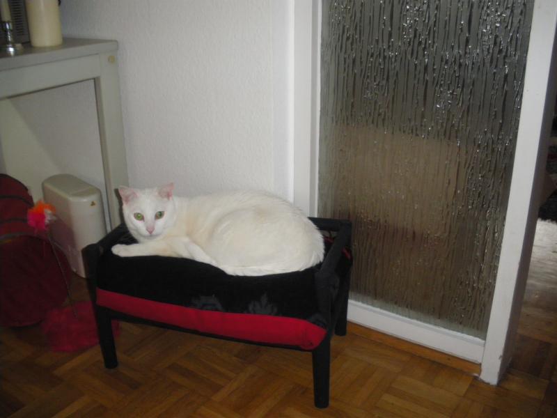 Fuzzy auf seinem Thron ;-)