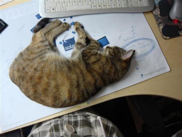 Ganz erschöpft von so viel Büroarbeit.