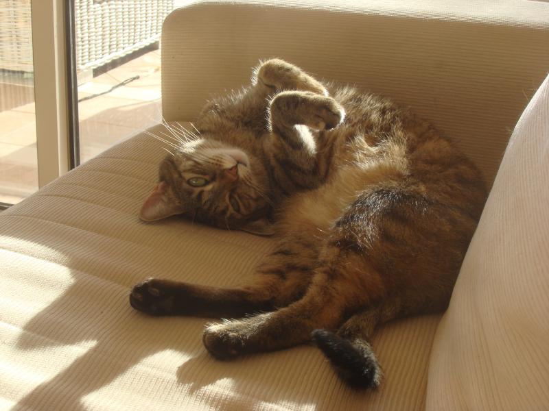 Ganz schön verdreht. :)