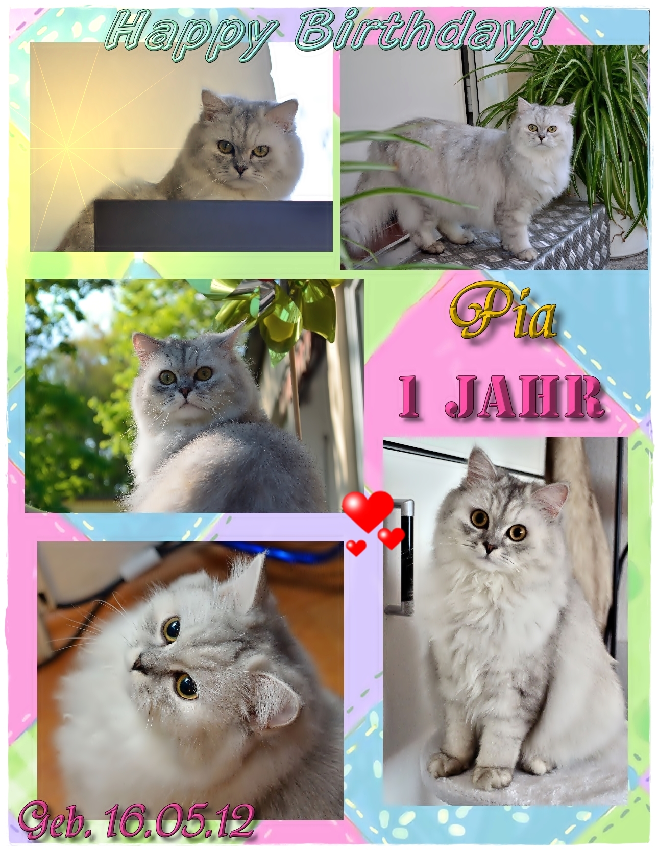 Geburtstag Pia