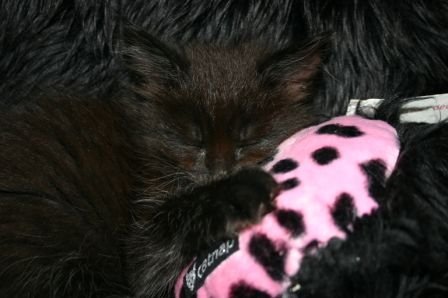 Gem ich vermisse dich :(