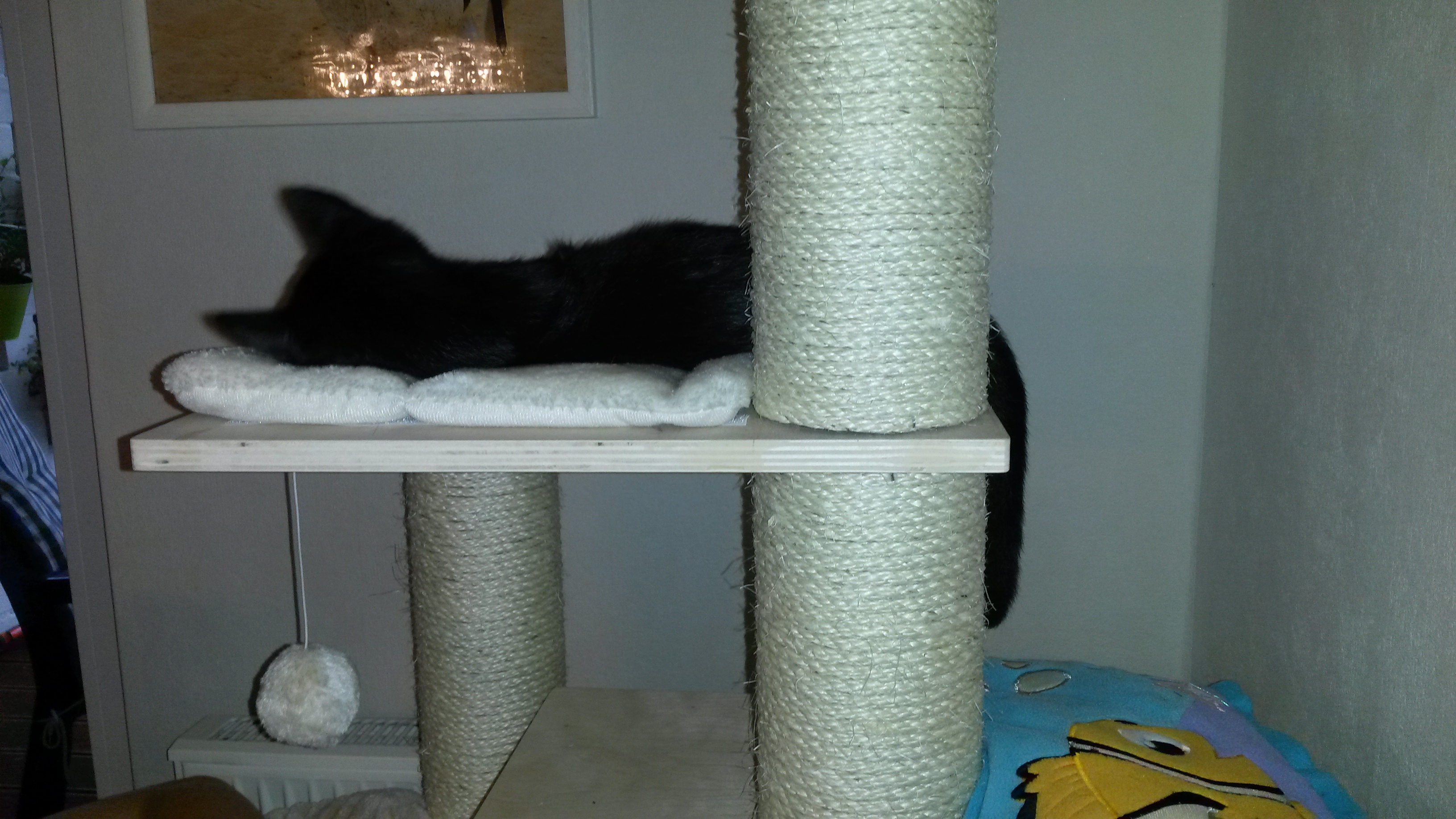 Gesund werden braucht viiiiel Schlaf