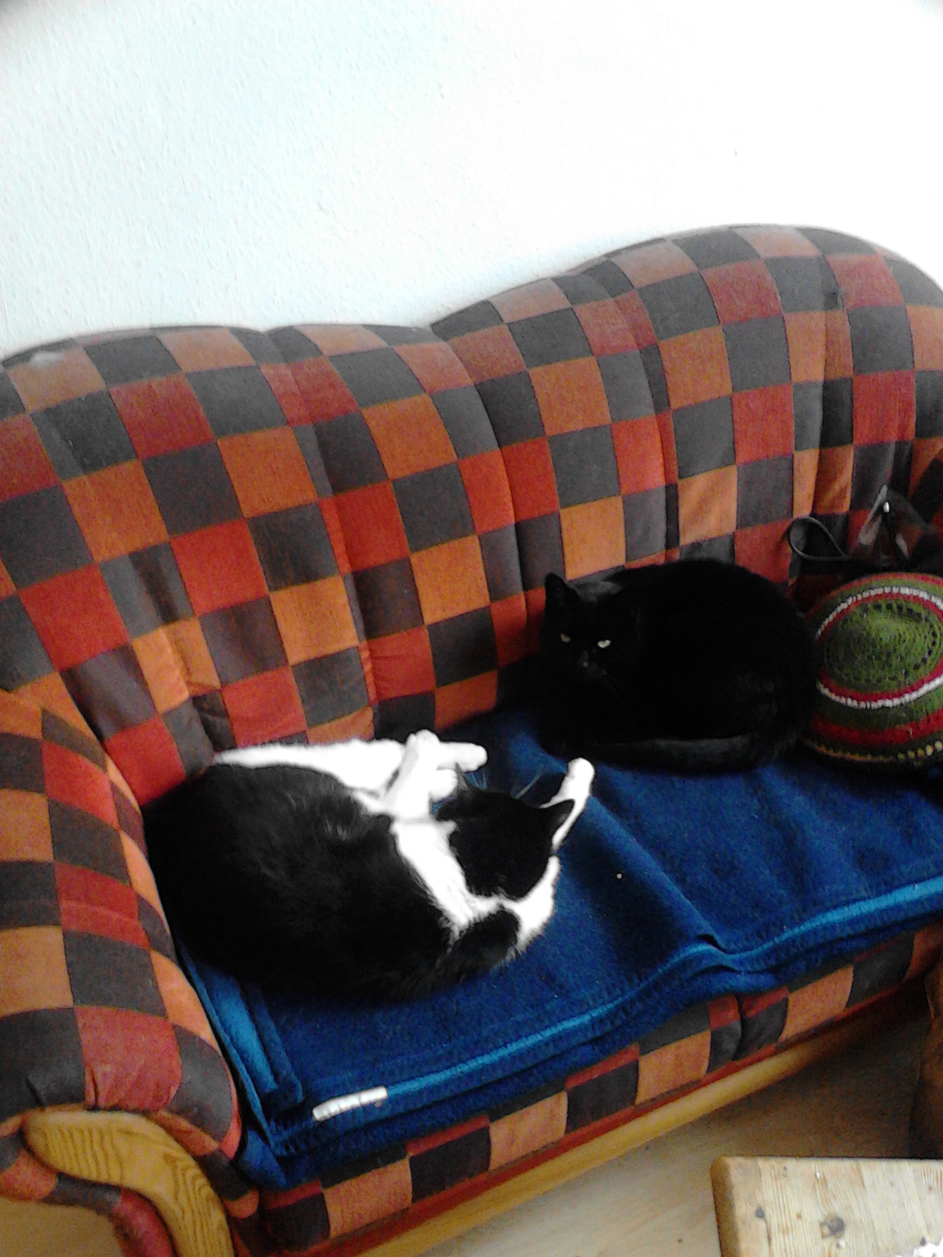 Gina und Mongli Sommer Schlaf