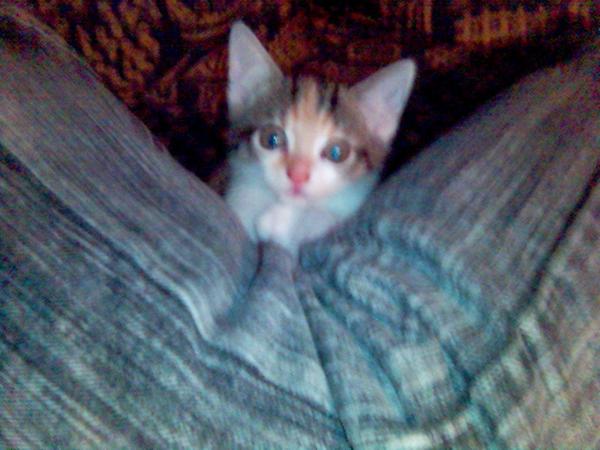 Gismo, mamamiez selbst noch klein