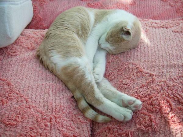 Größenänderung DSCI0237