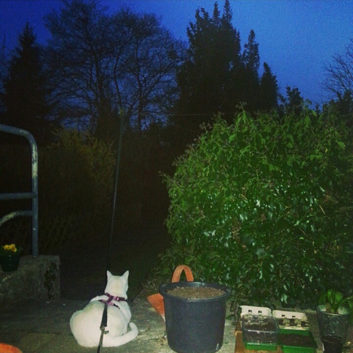 Große Welt, kleiner Matti.