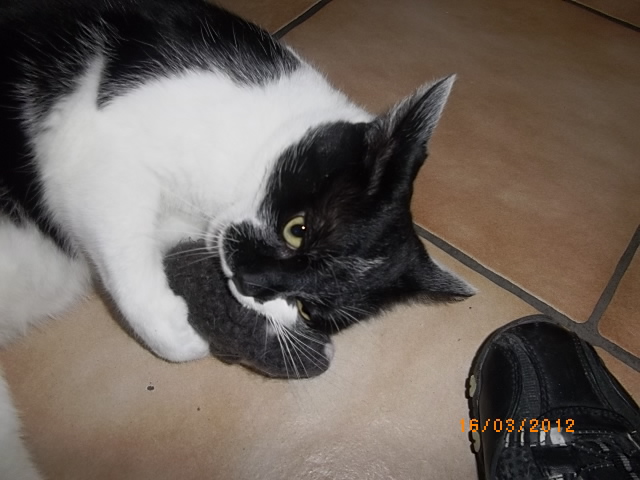 ... hab dich zum fressen gern