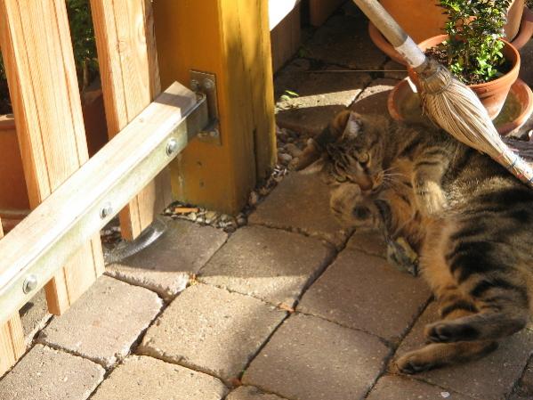 Hab doch gesagt du sollst aufpassen.