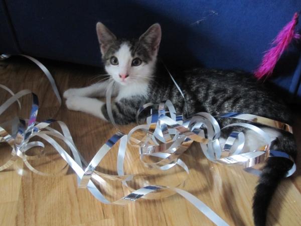 Hä? Was? Ich war das nicht :))