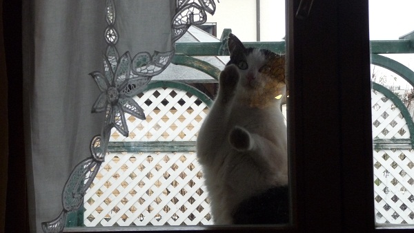 Halloo jemand zuhause