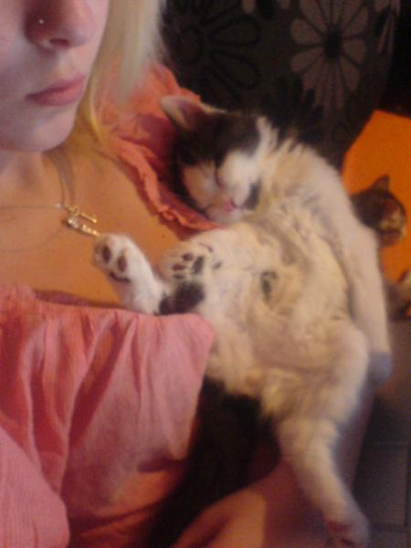 Hauptsache er liegt bequem...