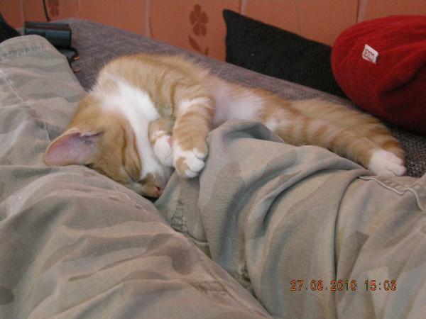 Hauptsache schlafen...