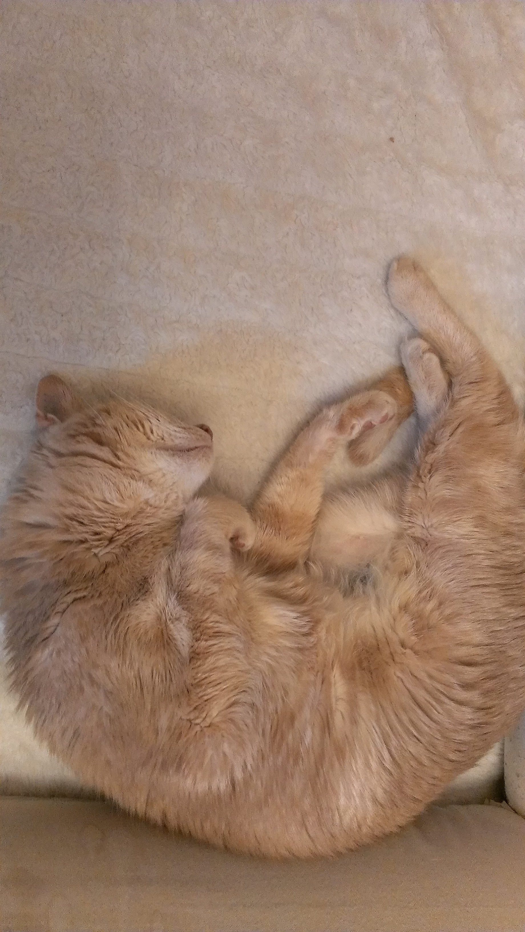 Heute der 13.05.2013