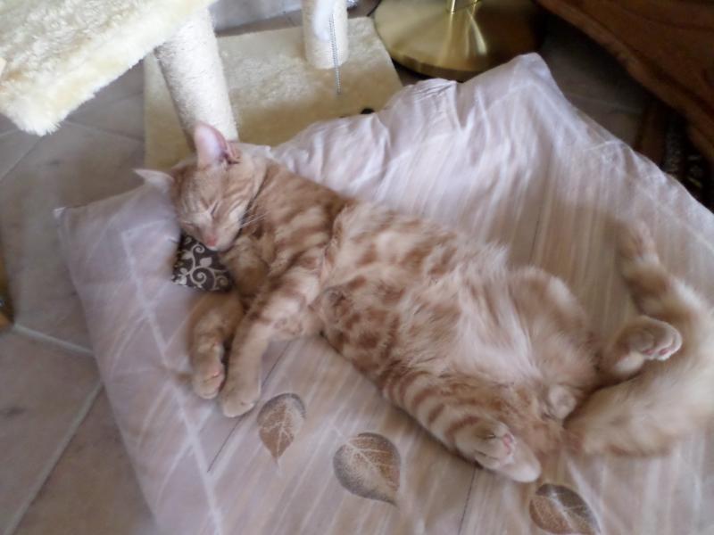 heute geht es mir gut