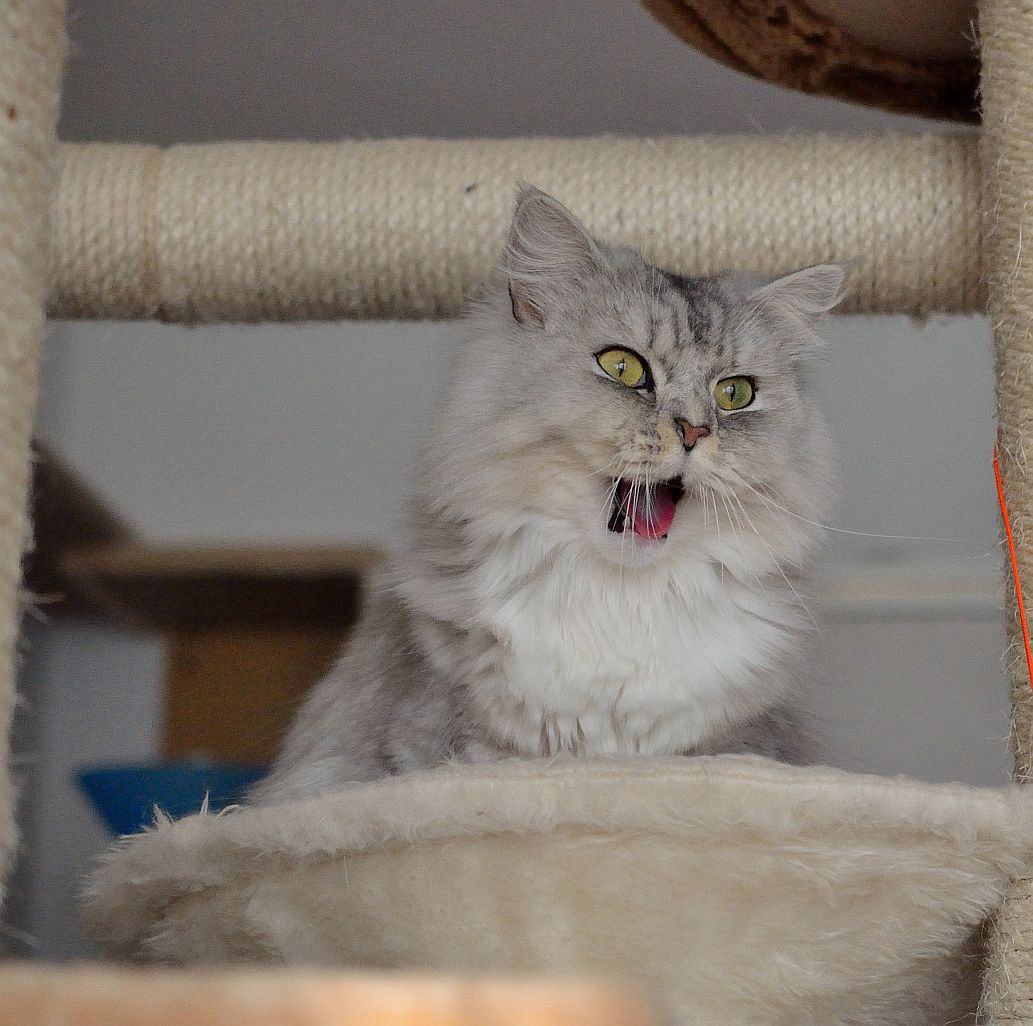 Hey! Schaut mal alle her!