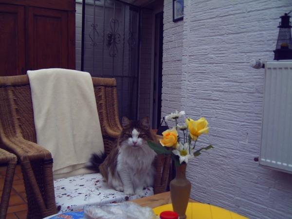 Hier sitzt Fun im Wintergarten