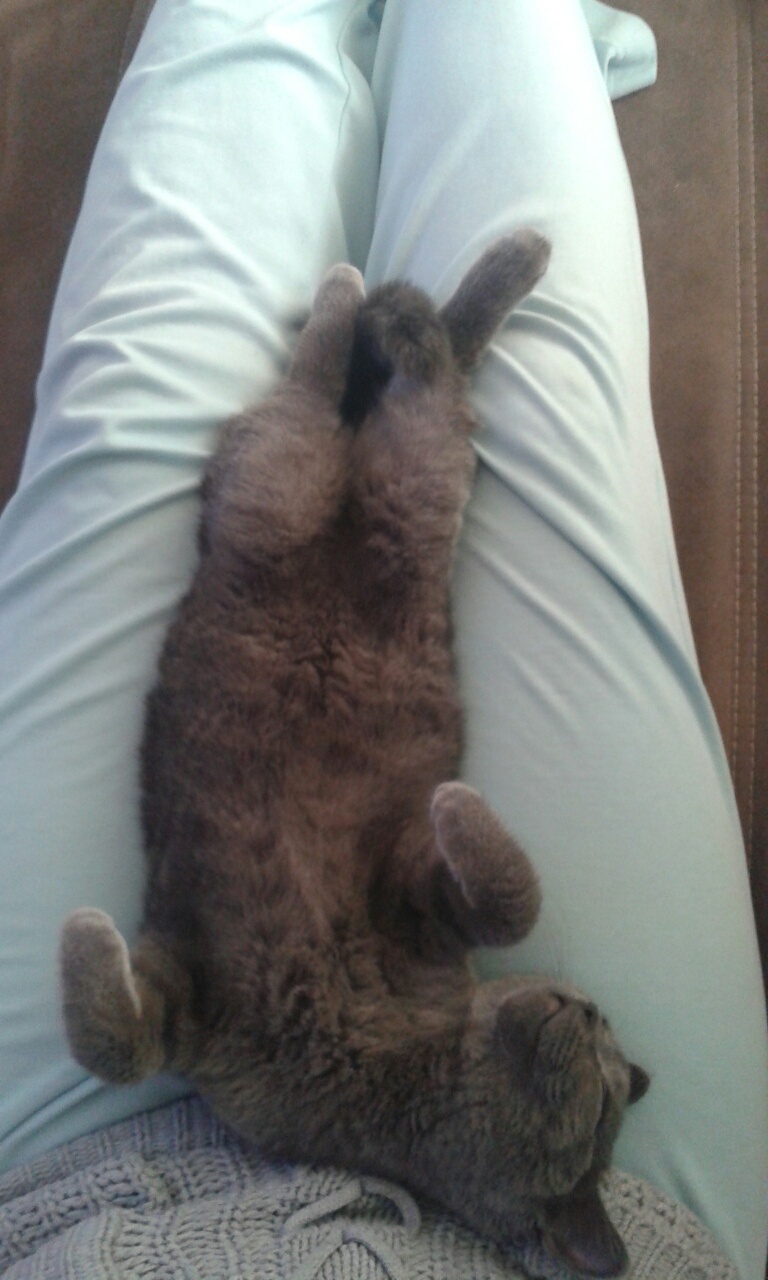 Hihi, gestern Abend *schmunzel*