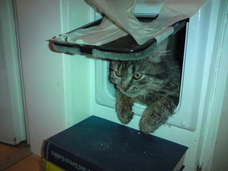 Hinter der klappe verbirgt sich das Katzenklo. War wohl sehr anstrengend da drin...
(Man beachte die Treppe aus Büchern.) :)