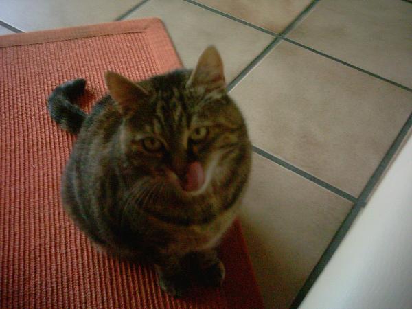 Hmmmm, das war lecker