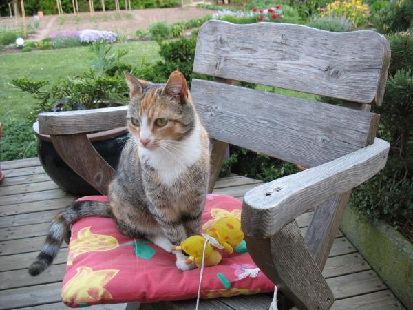 Hohenzieritz 2008 073