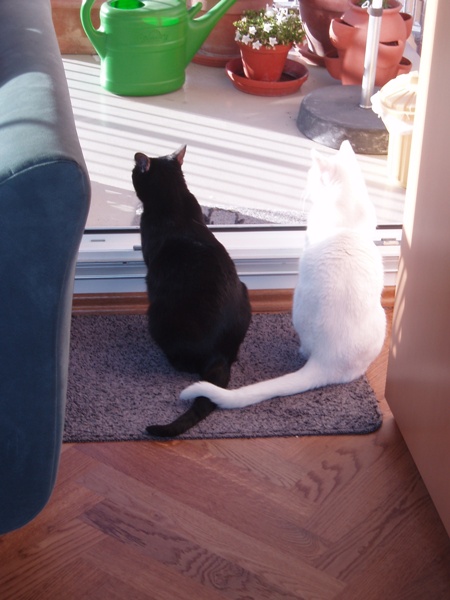 Holli &amp; Dreizehn in trauter Zweisamkeit